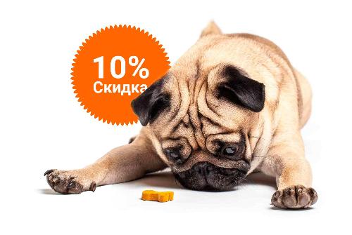-10% на зоотовары акция в Новосибирске компании Инженер выгодно