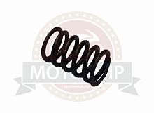 Пружина клапана R07-GY60  24мм (НАБОР)