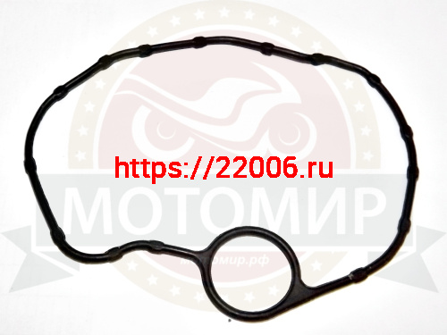 Прокладка крышки головки цилиндров LF163 FML-2MP (E01-02) (НАБОР)